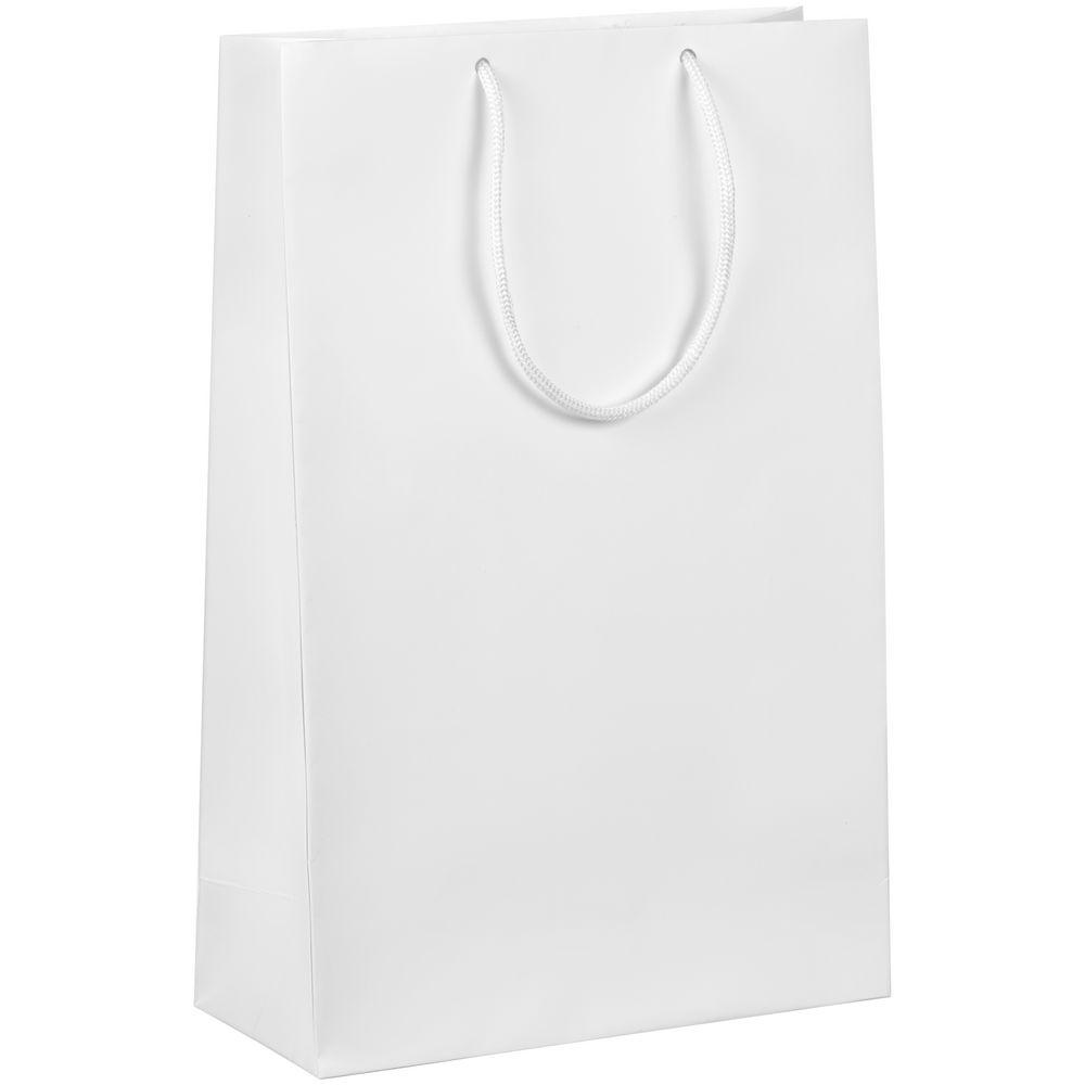 Пакет бумажный Lami L