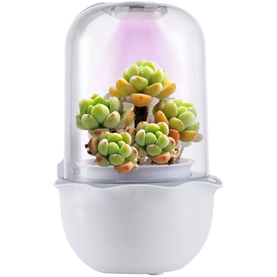 Умная офисная теплица growUP